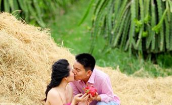 Mai Vàng: Hạnh phúc giản dị, tình yêu ngọt ngào - Blog Marry