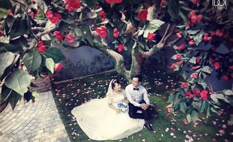 4 địa điểm chụp ảnh cưới đẹp trong nhà ở Hà Nội - Blog Marry