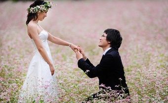 Chụp ảnh cưới cùng hoa tam giác mạch - Blog Marry