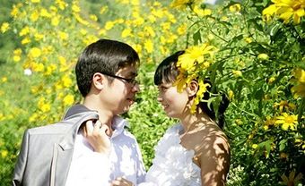 Chụp ảnh cưới mùa hoa dã quỳ - Blog Marry