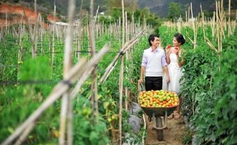 Đẹp và lạ: Vào vườn... chụp ảnh cưới! - Blog Marry