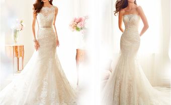 BST váy cưới đuôi cá cổ điển tuyệt đẹp từ Sophia Tolli - Blog Marry