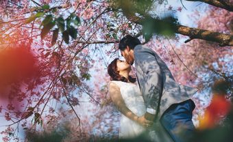 Chụp ảnh cưới ở Đà Lạt đẹp như mơ với hoa anh đào - Blog Marry