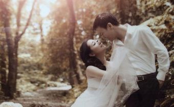 Thanh Thanh Hiền kết hôn cùng con trai Chế Linh - Blog Marry