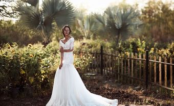 Bộ sưu tập váy cưới nhẹ nhàng tựa giấc mơ - Blog Marry