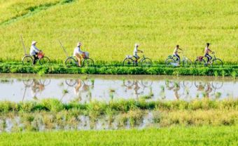 Hãy đến với Mekong Delta - Blog Marry