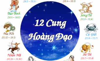 Loài hoa đem lại may mắn cho 12 cung hoàng đạo - Blog Marry