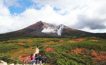 Mùa hè dịu ngọt ở Hokkaido - Blog Marry