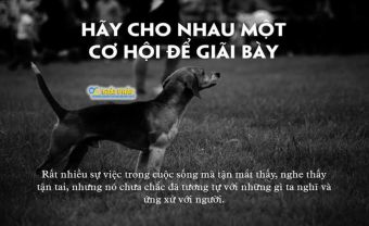 Hãy cho nhau một cơ hội để giãi bày! - Blog Marry