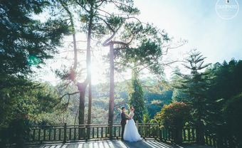 Cho cảm xúc thăng hoa - Cho khoảnh khắc ở lại - Blog Marry