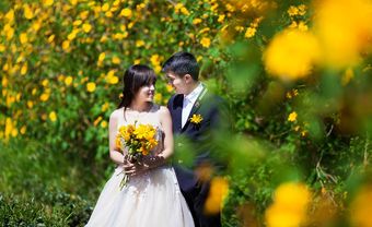 Chụp ảnh cưới đẹp rực rỡ với mùa hoa Dã Quỳ Đà Lạt - Blog Marry