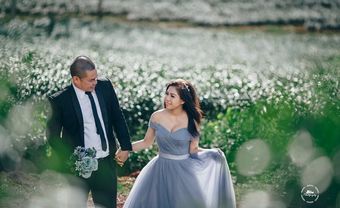 Bảo Lộc đẹp tuyệt vời trong bộ ảnh cưới lãng mạn - Blog Marry