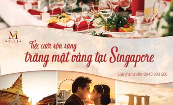 Tiệc cưới rộn ràng, trăng mật vàng tại Singapore - Blog Marry