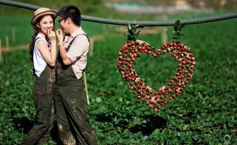 Sự Thật Trong Năm Đầu Hôn Nhân - Blog Marry