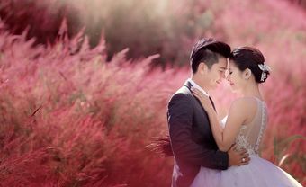 Anh ngủ thêm đi anh, em phải dậy lấy chồng. - Blog Marry