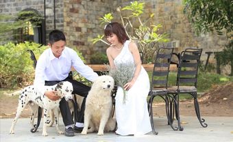 Anh bớt dịu dàng với gái đi anh... - Blog Marry