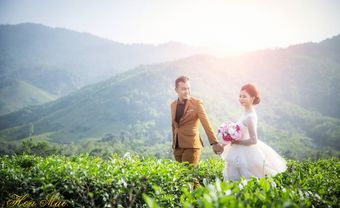 Hoa Mai Luxury Wedding Store - Studio ảnh cưới đẹp tại Đà Nẵng - Blog Marry