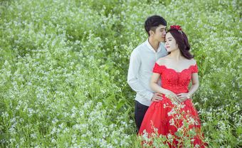 Ưu đãi chụp ảnh cưới đẹp tại Đà Lạt vô cùng hấp dẫn - Blog Marry