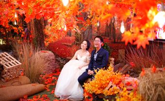 Ấn tượng không gian thu lãng mạn tại Marry Wedding Day TP. HCM 2016 - Blog Marry