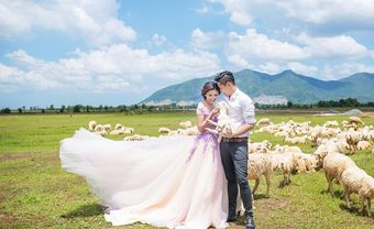 Tổng hợp những địa điểm chụp ảnh cưới đẹp nhất - Blog Marry