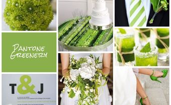 Greenery được Viện Pantone chọn là sắc màu của năm 2017 - Blog Marry