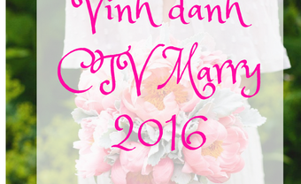 Vinh danh cộng tác viên tích cực trên Marry năm 2016 - Blog Marry