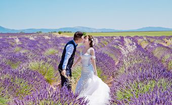 Ảnh cưới của cặp đôi Việt trên cánh đồng Lavender nước Pháp - Blog Marry