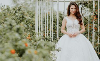 Bí quyết chọn váy cưới đơn giản mà lộng lẫy - Blog Marry