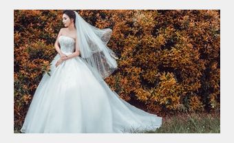 Váy cưới bồng bềnh biến cô dâu thành công chúa - Blog Marry