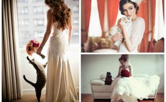 Chụp hình cưới với thú cưng, tại sao không? - Blog Marry