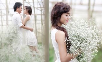 Những con giáp luôn luôn lắng nghe, luôn luôn thấu hiểu - Blog Marry