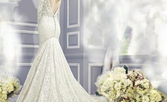 Những mẫu váy cưới đuôi cá đẹp nhất năm 2017 - Blog Marry