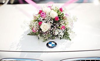 Auto Huy Hoàng – 10 năm chuyên chở hạnh phúc lứa đôi - Blog Marry