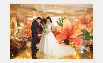 Album ảnh lung linh mà siêu tiết kiệm - Blog Marry