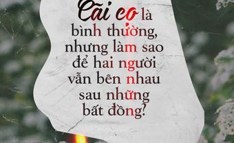 Cãi cọ là bình thường, nhưng làm sao để vẫn bên nhau sau bất đồng? - Blog Marry