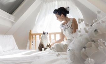 Ngắm bộ ảnh cưới tuyệt đẹp của cặp vợ chồng nhiếp ảnh gia với mèo - Blog Marry