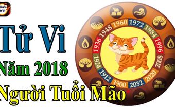 Tử vi 2018 Tuổi Đinh Mão - Nữ mạng - Blog Marry