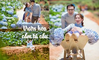 5 địa điểm ở Đà Lạt lý tưởng cho bộ ảnh cưới để đời - Blog Marry