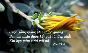 Danh ngôn cuộc sống: Thay đổi ngay khi còn chưa muộn! - Blog Marry