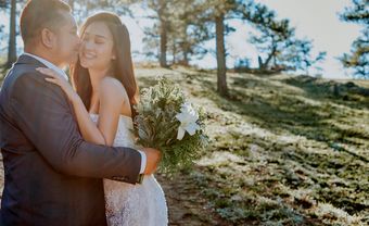 Hà Thúy Anh chụp ảnh cưới trên đồi thông - Blog Marry