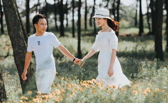 Tử vi tuần mới từ 10-9 đến 16-9 các con giáp Tý, Sửu, Dần, Mão, Thìn, Tỵ - Blog Marry