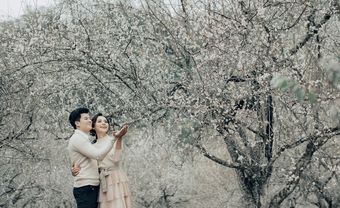 Ảnh cưới giữa rừng mơ của cặp 'ghét thì yêu thôi' - Blog Marry