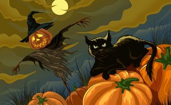 7 điều cần tuyệt đối kiêng kỵ trong ngày lễ Halloween để tránh vận đen đeo bám, nhất là điều cuối cùng - Blog Marry