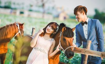 Vợ chồng 4 cặp giáp này tuy khắc khẩu nhưng hạnh phúc bền lâu - Blog Marry