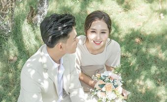 Tử vi tuần mới từ 1-10 đến 7-10: Ngọ, Mùi, Thân, Dậu, Tuất, Hợi - Blog Marry