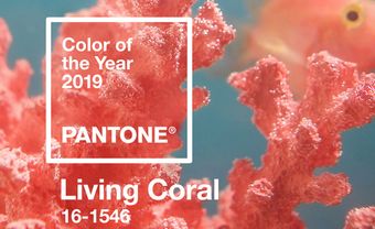 Pantone công bố màu của năm 2019: Living Coral - cam san hô - Blog Marry