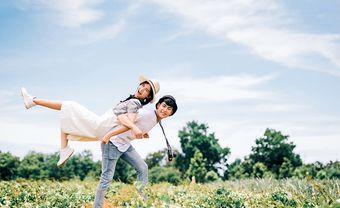 Tử vi tháng 5-2019: Tý, Sửu, Dần, Mão, Thìn, Tỵ - Blog Marry