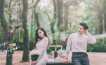 Tử vi tuần mới từ 6-5 đến 12-5: Tý, Sửu, Dần, Mão, Thìn, Tỵ - Blog Marry