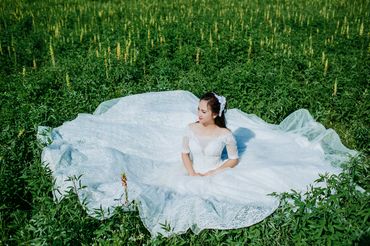 Đẹp lung linh và đầy cảm xúc trong từng khung hình - Hải Hà Wedding - Hình 6