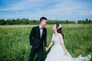 Đẹp lung linh và đầy cảm xúc trong từng khung hình - Hải Hà Wedding - Hình 12